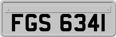 FGS6341