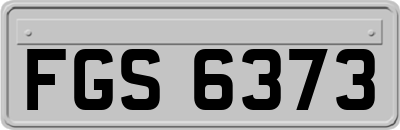 FGS6373