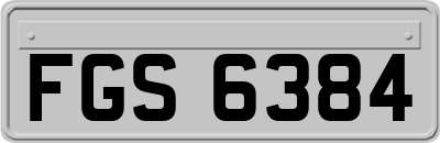 FGS6384