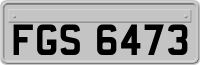 FGS6473