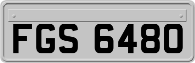 FGS6480