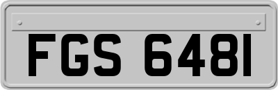 FGS6481