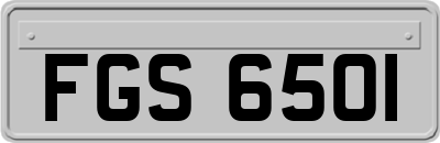 FGS6501