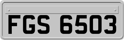 FGS6503