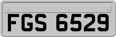 FGS6529