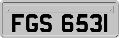 FGS6531