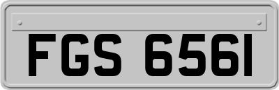 FGS6561