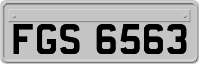 FGS6563
