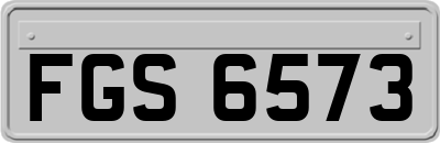 FGS6573