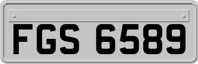 FGS6589