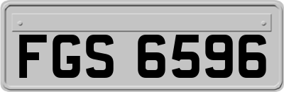 FGS6596