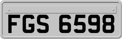 FGS6598