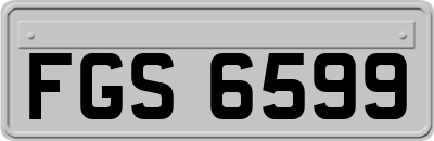 FGS6599