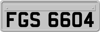 FGS6604