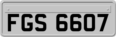 FGS6607