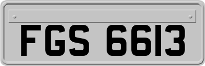 FGS6613