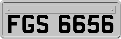 FGS6656