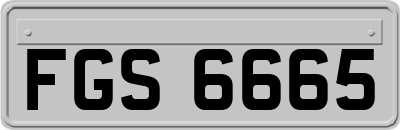 FGS6665