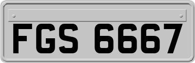 FGS6667