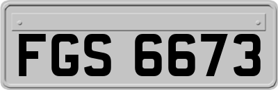 FGS6673
