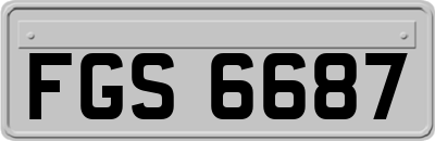 FGS6687