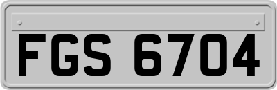 FGS6704