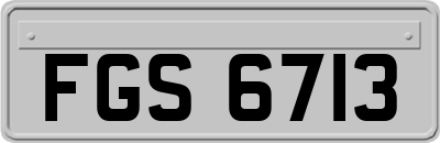 FGS6713