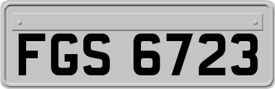 FGS6723
