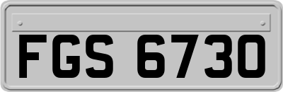 FGS6730