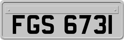 FGS6731