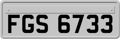 FGS6733