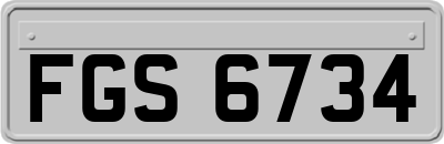 FGS6734