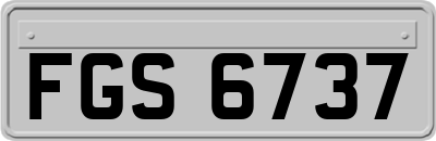 FGS6737