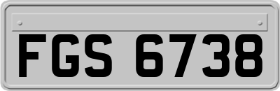 FGS6738