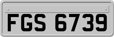 FGS6739
