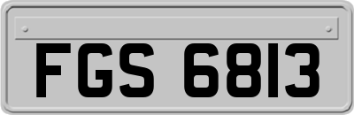 FGS6813