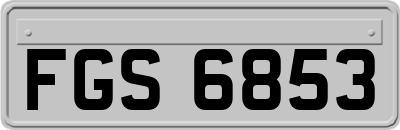FGS6853
