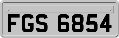 FGS6854