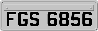 FGS6856