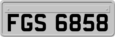 FGS6858