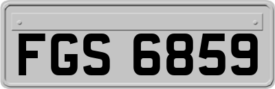 FGS6859