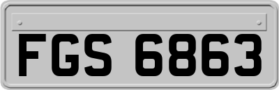 FGS6863