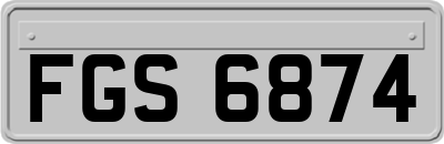 FGS6874