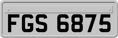 FGS6875