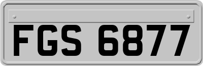 FGS6877