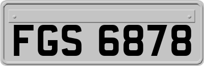 FGS6878