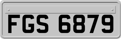 FGS6879