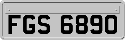 FGS6890