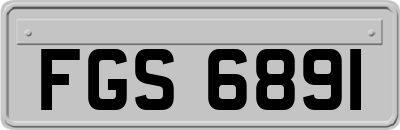 FGS6891