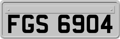 FGS6904